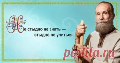 (50) Одноклассники