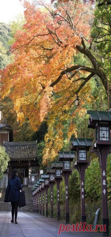 Muryoko-in temple in Koyasan, Japan, flickr от The Tea God || Pinterest: инструмент для поиска и хранения интересных идей