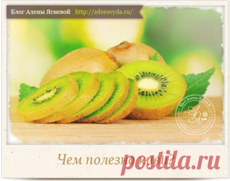 Чем полезен киви для организма : свойства тропического фрукта