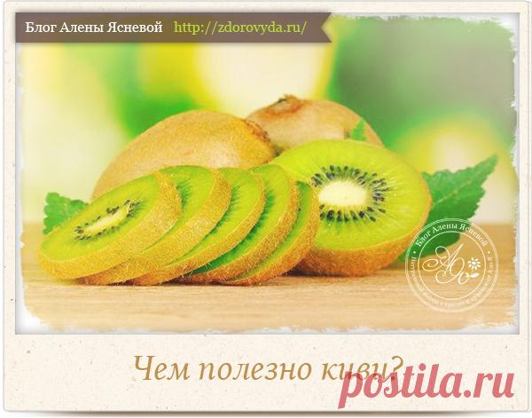 Чем полезен киви для организма : свойства тропического фрукта