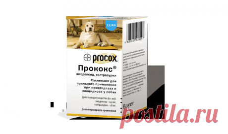 Продукты Дронтал® и Прококс® против гельминтов
