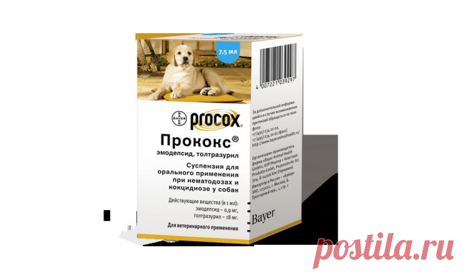 Продукты Дронтал® и Прококс® против гельминтов