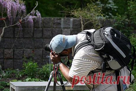 Как научиться фотографировать на улице .