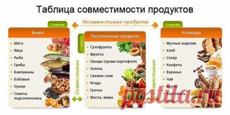 раздельное питание таблица совместимости продуктов белки жиры углеводы: 563 изображения найдено в Яндекс.Картинках