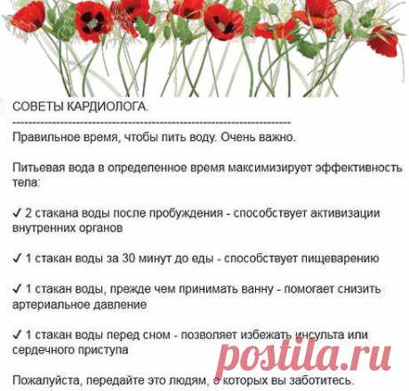 (60) Одноклассники