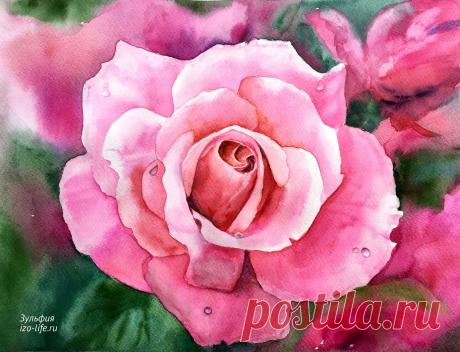 Рисунки цветов акварелью: очень вдохновляющая подборка!