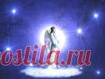 Ангел-хранитель предупреждает