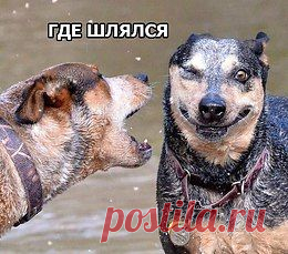 Бугагашенька