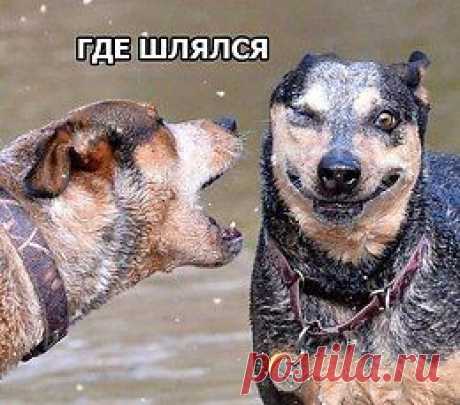 Бугагашенька