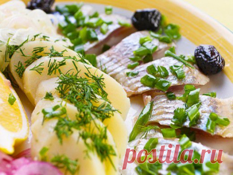 Финская против русской. Как засолить сельдь - Кухни мира - Кухня - Аргументы и Факты