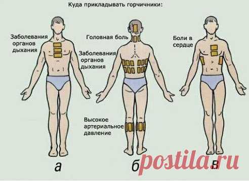 Как правильно ставить горчичники