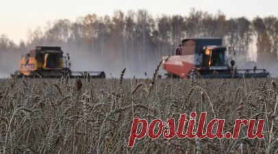 Подмосковье и Вьетнам запустили крупный совместный проект в сельском хозяйстве. Московская область и Вьетнам запустили крупный совместный проект в сельском хозяйстве. Они открыли животноводческий комплекс в Волоколамске. В церемонии приняли участие губернатор Андрей Воробьёв и министр промышленности, торговли Нгуен Хонг Зиен. Читать далее