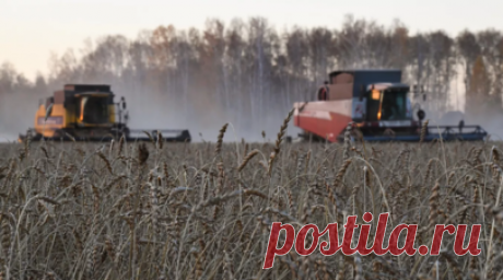 Подмосковье и Вьетнам запустили крупный совместный проект в сельском хозяйстве. Московская область и Вьетнам запустили крупный совместный проект в сельском хозяйстве. Они открыли животноводческий комплекс в Волоколамске. В церемонии приняли участие губернатор Андрей Воробьёв и министр промышленности, торговли Нгуен Хонг Зиен. Читать далее