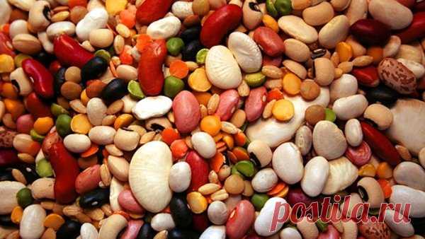 Какие продукты стимулируют выработку 