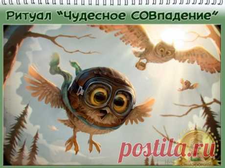#симорон #симоронскиеритуалы #исполнениежеланий #деньги #удача 
Доброго времени суток наши дорогие Волшебники! Если вам нужно счастливое стечение обстоятельств в каком то деле - берете игрушечную сову и устраиваете ей "падение". При этом приговариваете:
"-Разз... Два ... Три... Сова упала!
И чудесно все СОВпало! 
Здесь проговариваете что должно СОВпасть и добавляете
Какое наслаждение - 
такое СОВпадение!"
Вот такой веселый и действенный ритуал. Всем удачи, чудесных СОВпадений и прекрасного симор