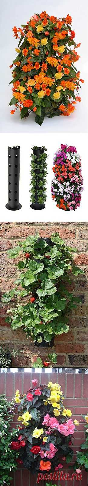 Цветочная башня.
Flower Tower — это продукт из Англии для создания вертикальных композиций из растений.
Цветочная башня имеет уникальную систему полива. Внутри — трубка, в которую заливается вода. Это позволяет равномерно обеспечить влагой каждое растение.