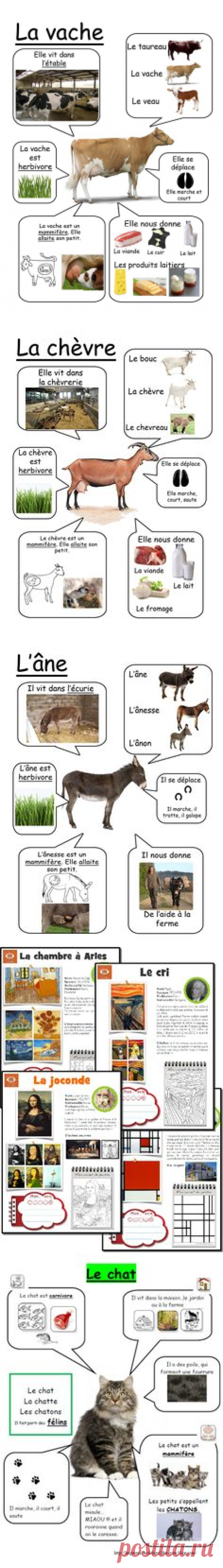 (1) Vache - Animaux de la ferme #learnfrench https://www.uniquelanguages.com | FLE, Activités et idées