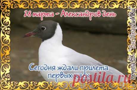 Другие названия праздника: Никандр, Лесное ухоженье, Лесничий день, Волчьи свадьбы, День волчьей свадьбы, День Александра. В народе праздник называют «Лесное ухоженье».