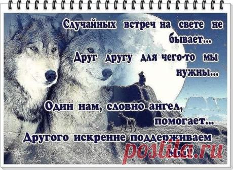 Случайных встреч не бывает........