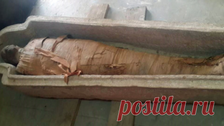 Каменный саркофаг с сохранившейся в нем мумией найден археологами на юге Египта | История