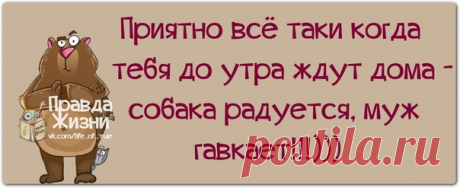 Прикольные фразочки в картинках