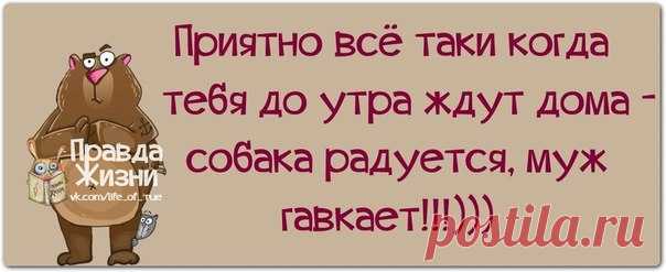 Прикольные фразочки в картинках