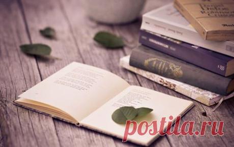 Альбом – Google+
