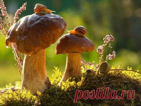 Удивительные фотографии природы