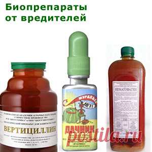 Биопрепараты от вредителей