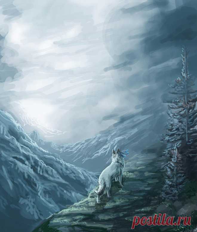 .:Winter Wanderer:. by Aviaku on DeviantArt