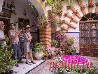 patios cordobeses interiores bonitos - Buscar con Google