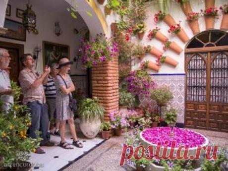 patios cordobeses interiores bonitos - Buscar con Google