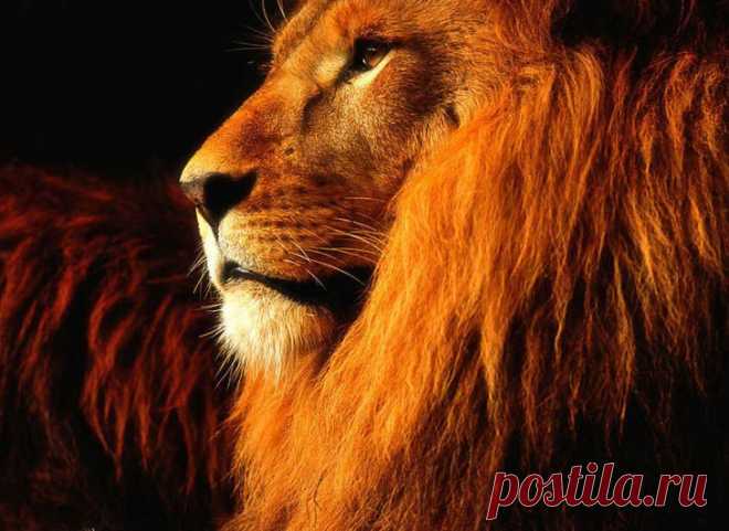 А это я ! Ваше величество .