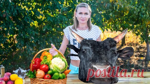 Вкусняшки от Евгении | Огромная голова быка на ужин! Как мы готовим в деревне