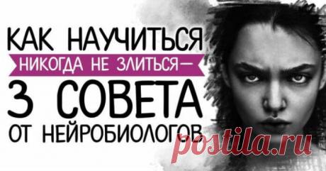 Как научиться никогда не злиться – 3 совета от нейробиологов
Как сдержать гнев, в чем основная ошибка и как её исправить, тем самым осчастливив не только себя, но и окружающих.