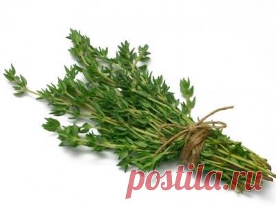 8 натуральных продуктов, уничтожающих паразитов, в организме