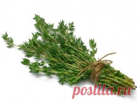 8 натуральных продуктов, уничтожающих паразитов, в организме