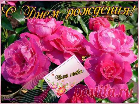 Поздравления с днем рождения!