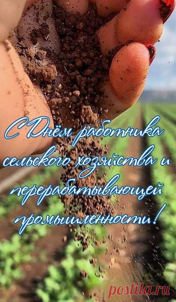 Работник сельского хозяйства,
По сути, ты кормилец наш.
Ты жизнь на труд тяжелый тратишь,
Но своей доли не предашь.