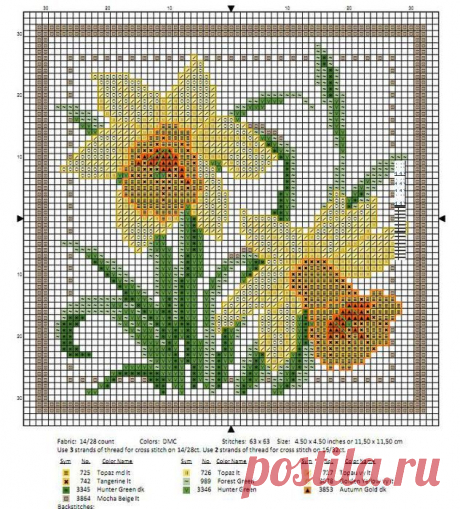 цветы