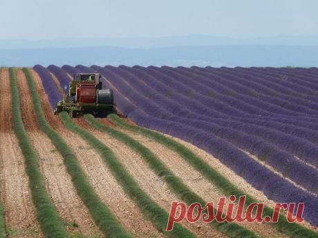 Без фотошопа: самые удачные фотографии за прошедший месяц.