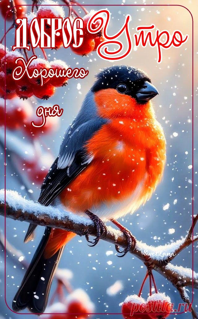 С добрым утром