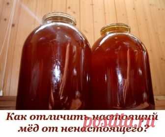 Как отличить настоящий мёд от ненастоящего? 
 
1. Настоящий мёд засахаривается снизу, а не сверху. 
 
2. Капля настоящего мёда, капнутая на запястье, не растекается. 
 
3. Если мёд, налитый в бутылку, перевернуть, то всплывают два пузыря воздуха – сначала первый большой, затем второй маленький. 
 
Если переворачивать не бутылку, а банку (литровую или трёхлитровую), то воздушный пузырь должен быть один. Если всплывают еще несколько маленьких пузырей – мёд ненастоящий. 
 
4....