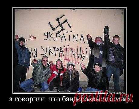 Виктор Моисей
89 лет, Ямайка, знает