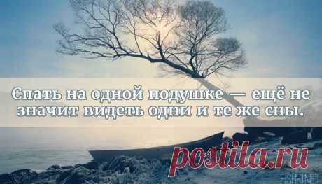 Высказывания китайских мудрецов