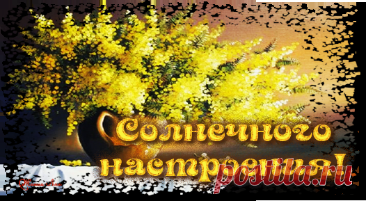 Пирог “Рыба-Соломон” (видео + рецепт)