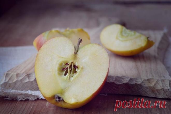 Подкормка яблонь весной, летом и осенью