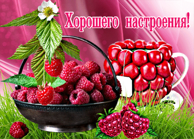 Очаровательная открытка Хорошего настроения! С малиной - Скачать бесплатно на otkritkiok.ru