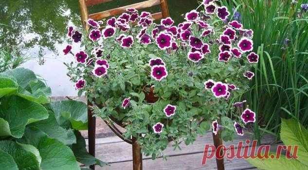 Как сделать цветочную мебель своими руками . Милая Я