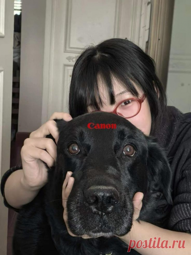 You can. Canon⁠⁠ в 2025 г | Милые животные, Щенки, Животные